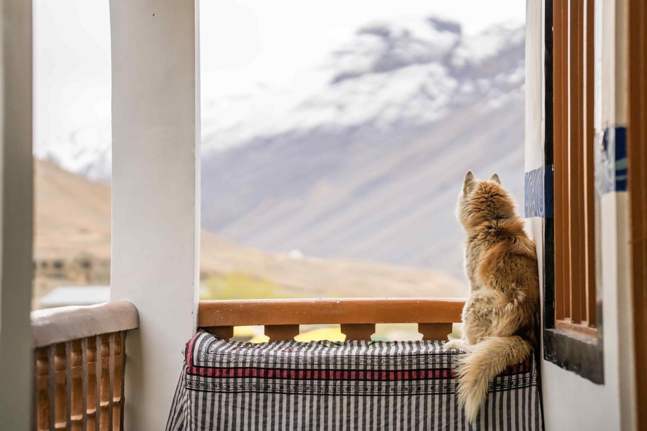 Auberge de jeunesse Zostel Spiti à Kaza Extérieur photo